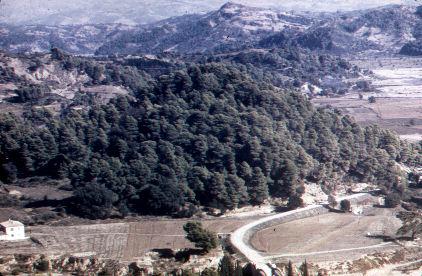 Greek landscape