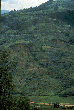 Aerial view of once-forested African high land.