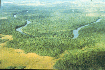 View from the air -- a curving river with forests along the edge and cleared areas in foreground and background.