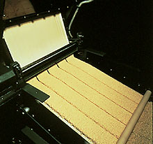 The dough is sliced into noodles by a machine equipped with cutting blades.