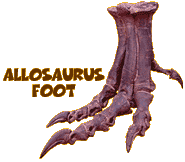 Allosaurus foot