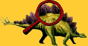 Stegasaurus plates