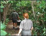 Walking to the release site inWattle Valley. Click to enlarge : Image - Heurisko Ltd. Camera provided by Lacklands Ltd.