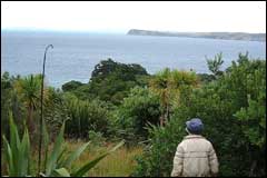 The inner waters of the Hauraki Gulf separate Tiritiri Matangi from Whangaparapara Penninsula - Image: Heurisko Ltd. Camera provided by Lacklands Ltd.